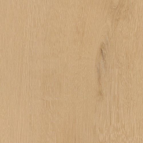 Invictus Maximus Click Belrose Oak – Harvest – próbka