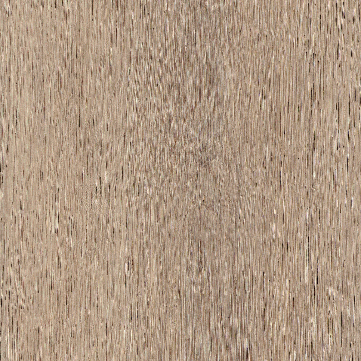 Invictus Primus Click Cashmere Oak – Beach – próbka