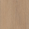 Invictus Primus Click Cashmere Oak – Sunny – próbka