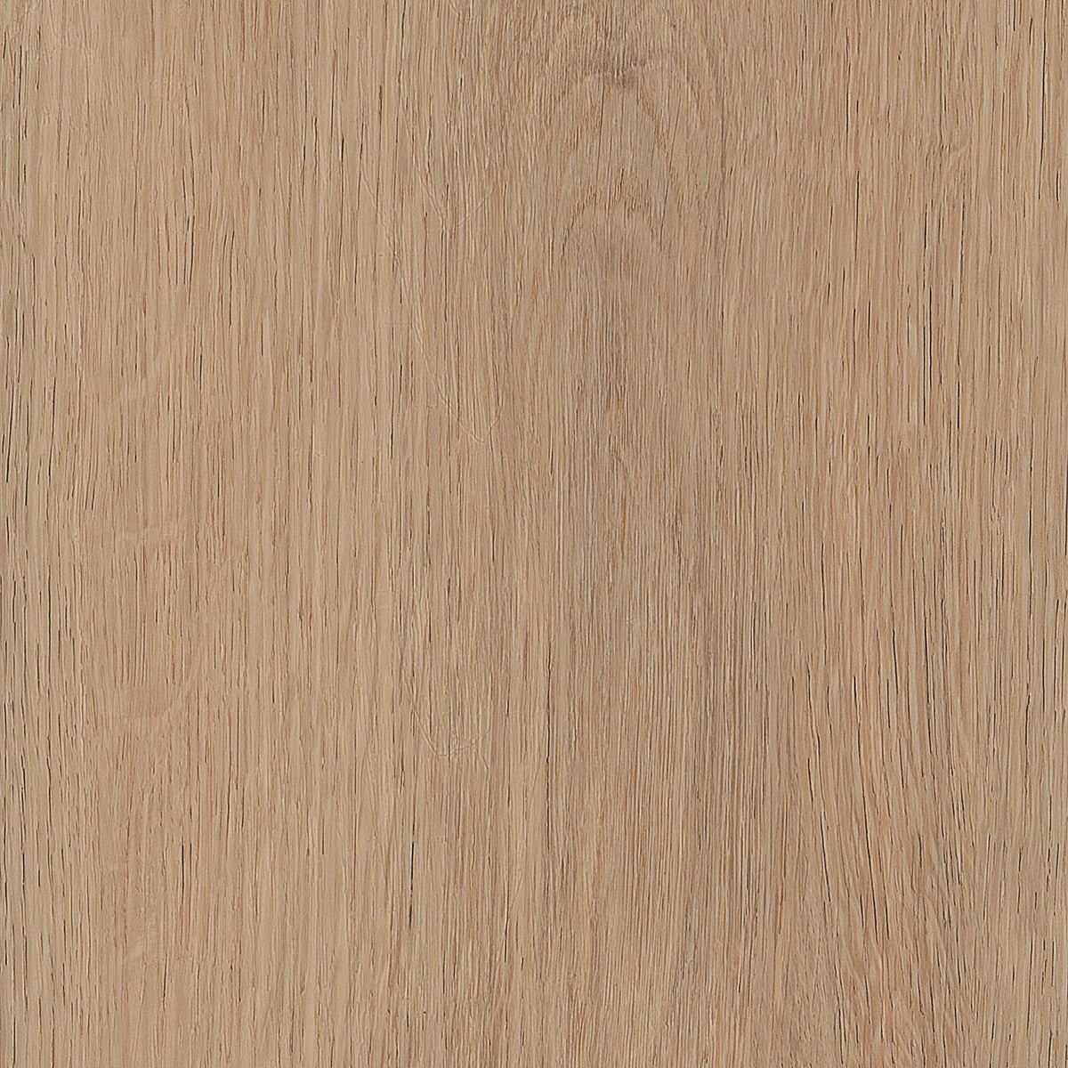 Invictus Primus Click Cashmere Oak – Sunny – próbka