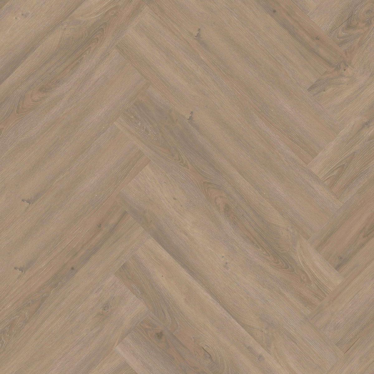 Invictus Maximus Click Divine Oak – Cookie – detal