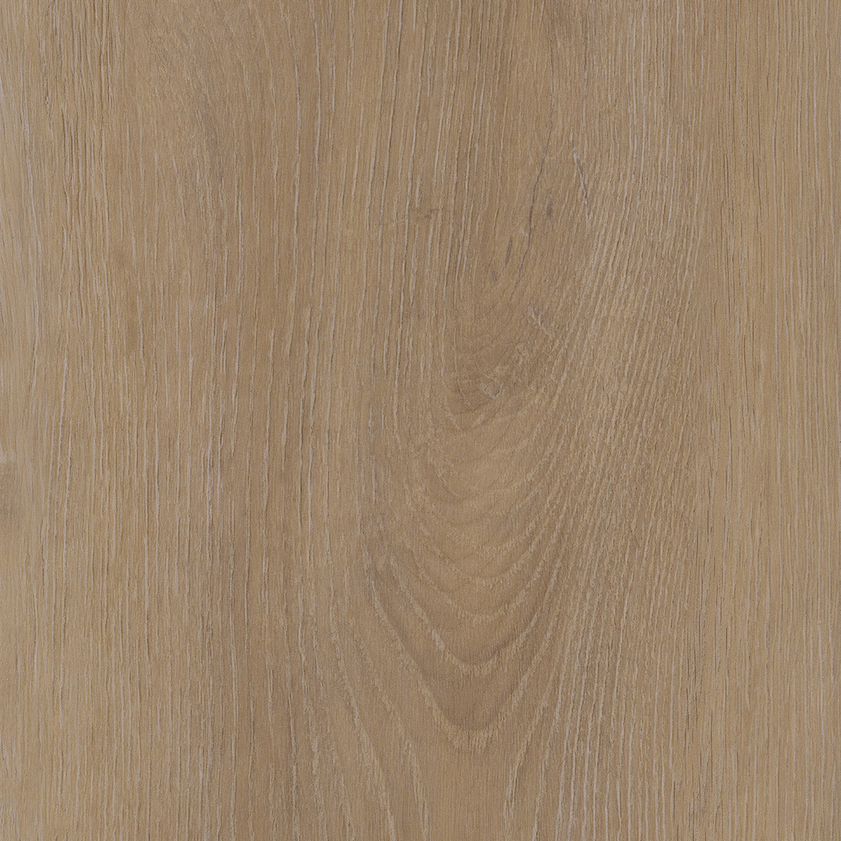 Invictus Maximus Click Divine Oak – Cookie – próbka