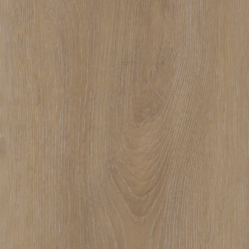 Invictus Maximus Click Divine Oak – Cookie – próbka