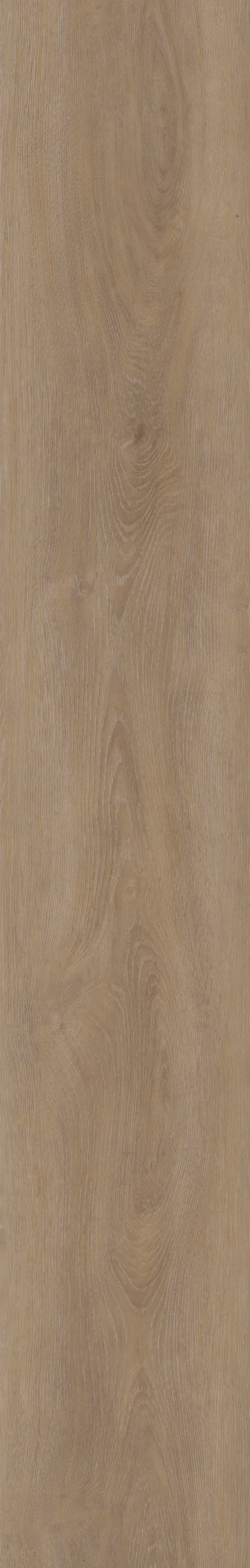 Invictus Maximus Click Divine Oak – Cookie – detal