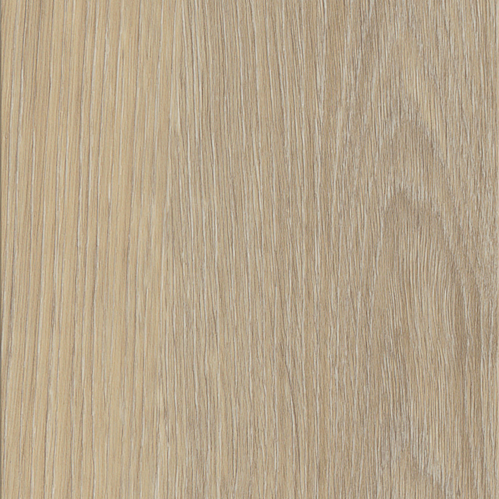 Invictus Maximus Click French Oak – Desert – próbka