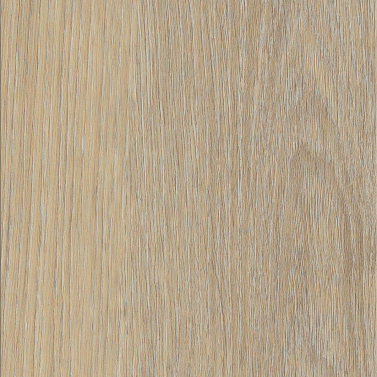 Invictus Maximus Click French Oak – Desert – próbka