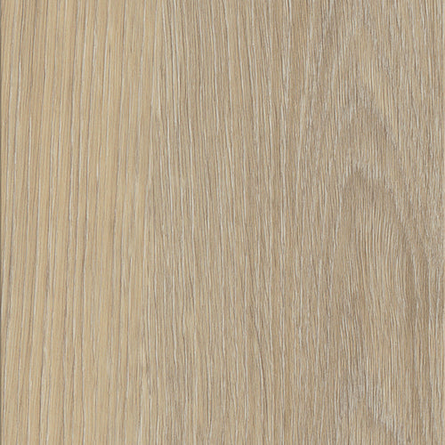 Invictus Maximus Click French Oak – Desert – próbka