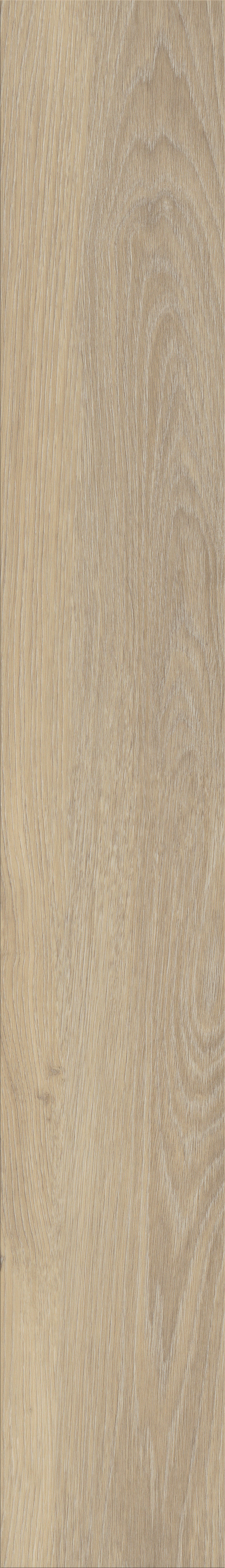 Invictus Maximus Click French Oak – Desert – detal