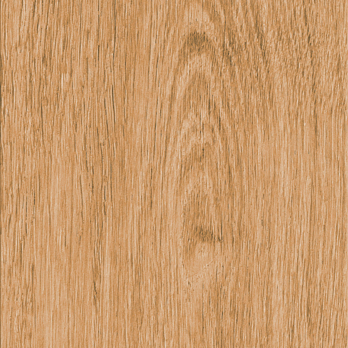 Invictus Maximus Click Highland Oak – Classic – próbka