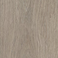Invictus Maximus Click Highland Oak – Canyon – próbka