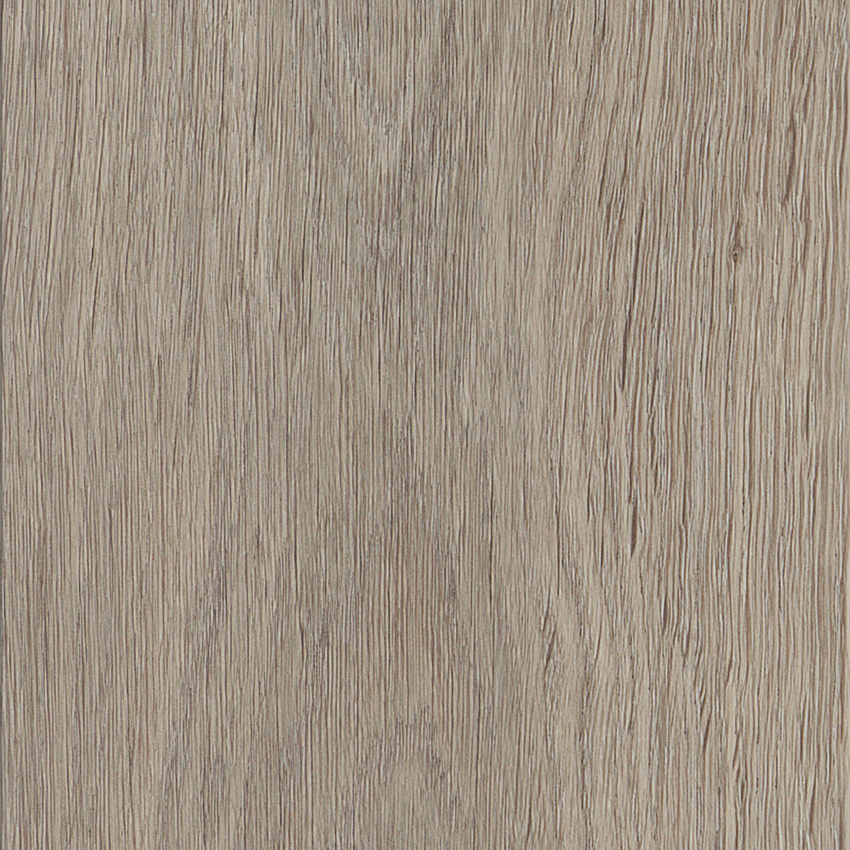 Invictus Maximus Click Highland Oak – Canyon – próbka