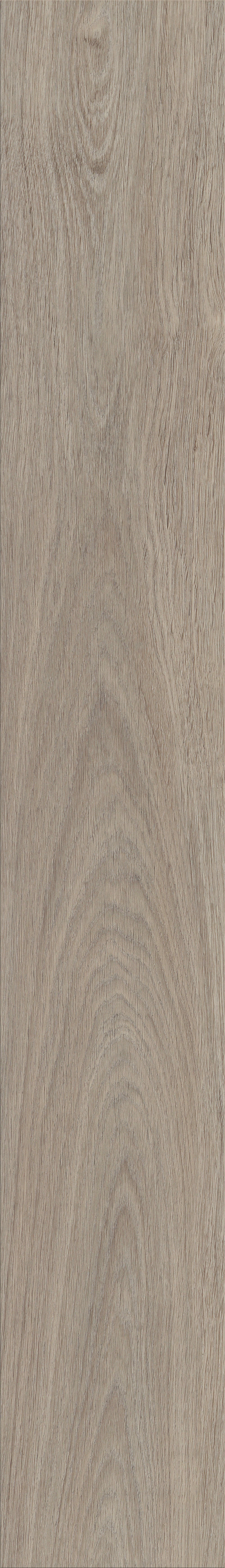 Invictus Maximus Click Highland Oak – Canyon – detal