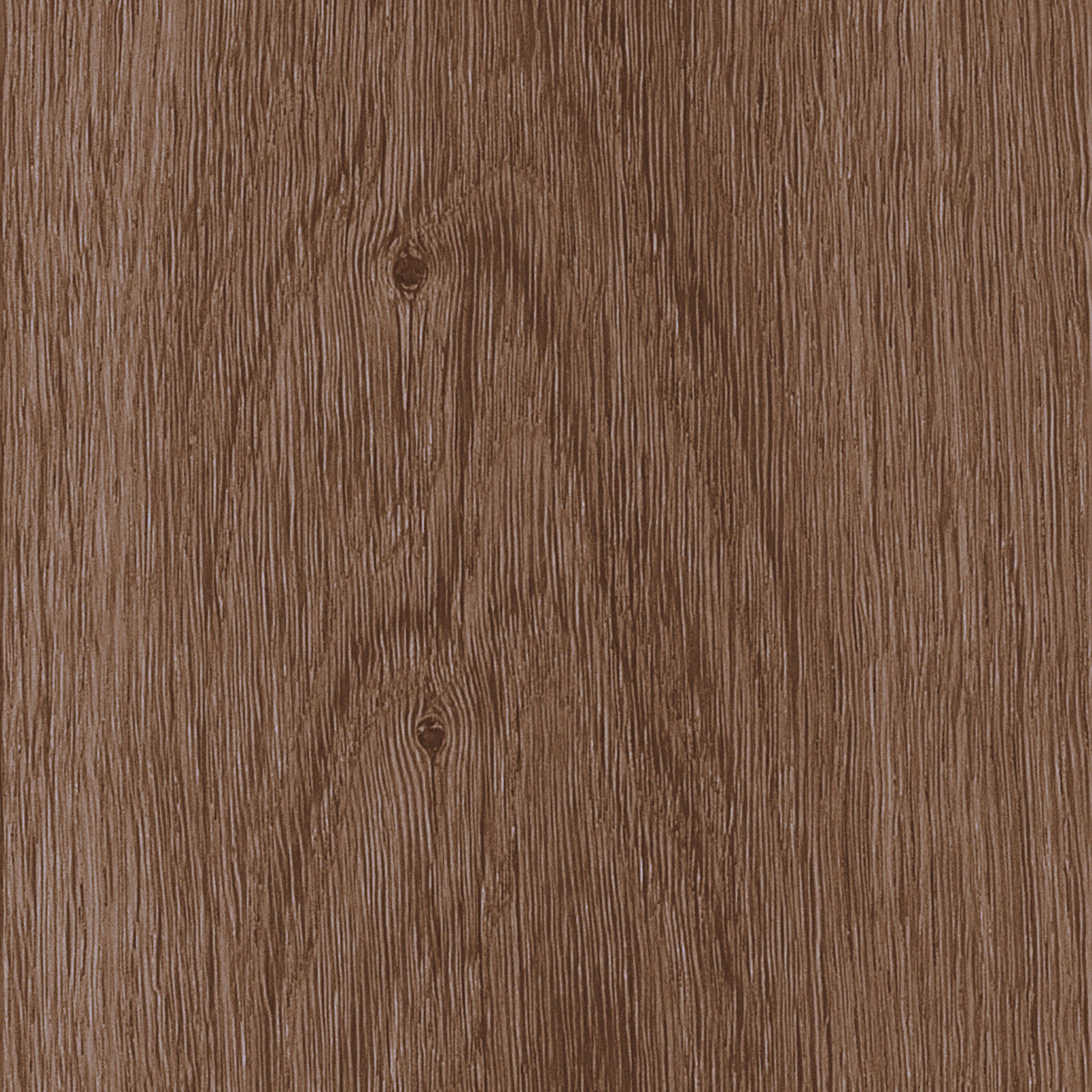 Invictus Maximus Click Highland Oak – Chocolate – próbka