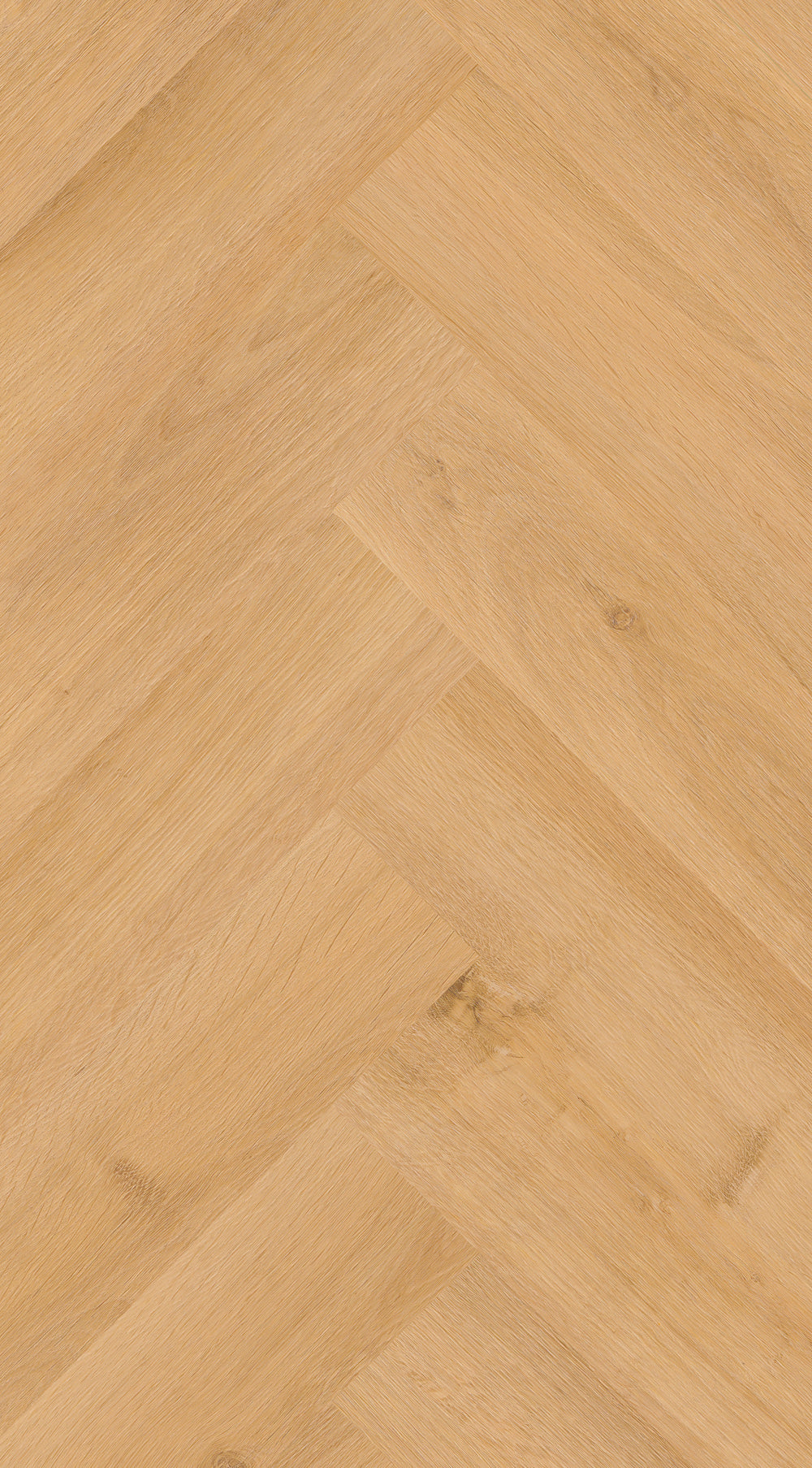 Invictus Maximus Click Highland Oak – Classic – detal