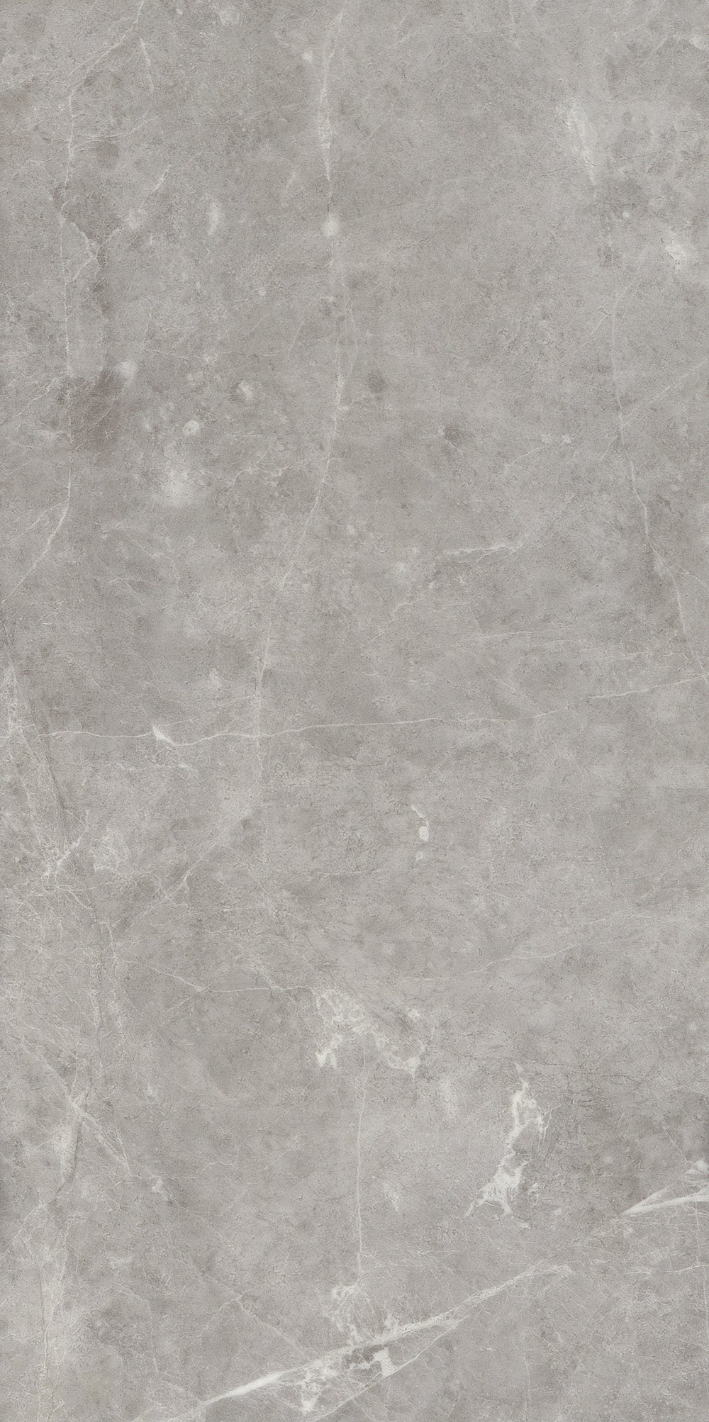 Invictus Maximus Click Hudson Stone – Silver – detal