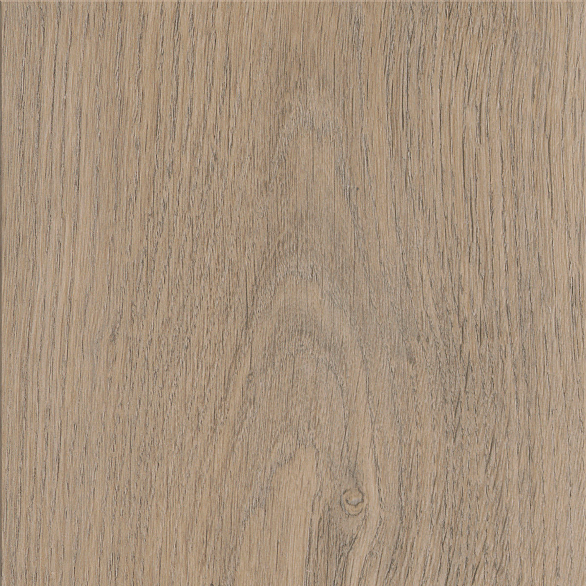 Invictus Maximus Click New England Oak – Sand – próbka