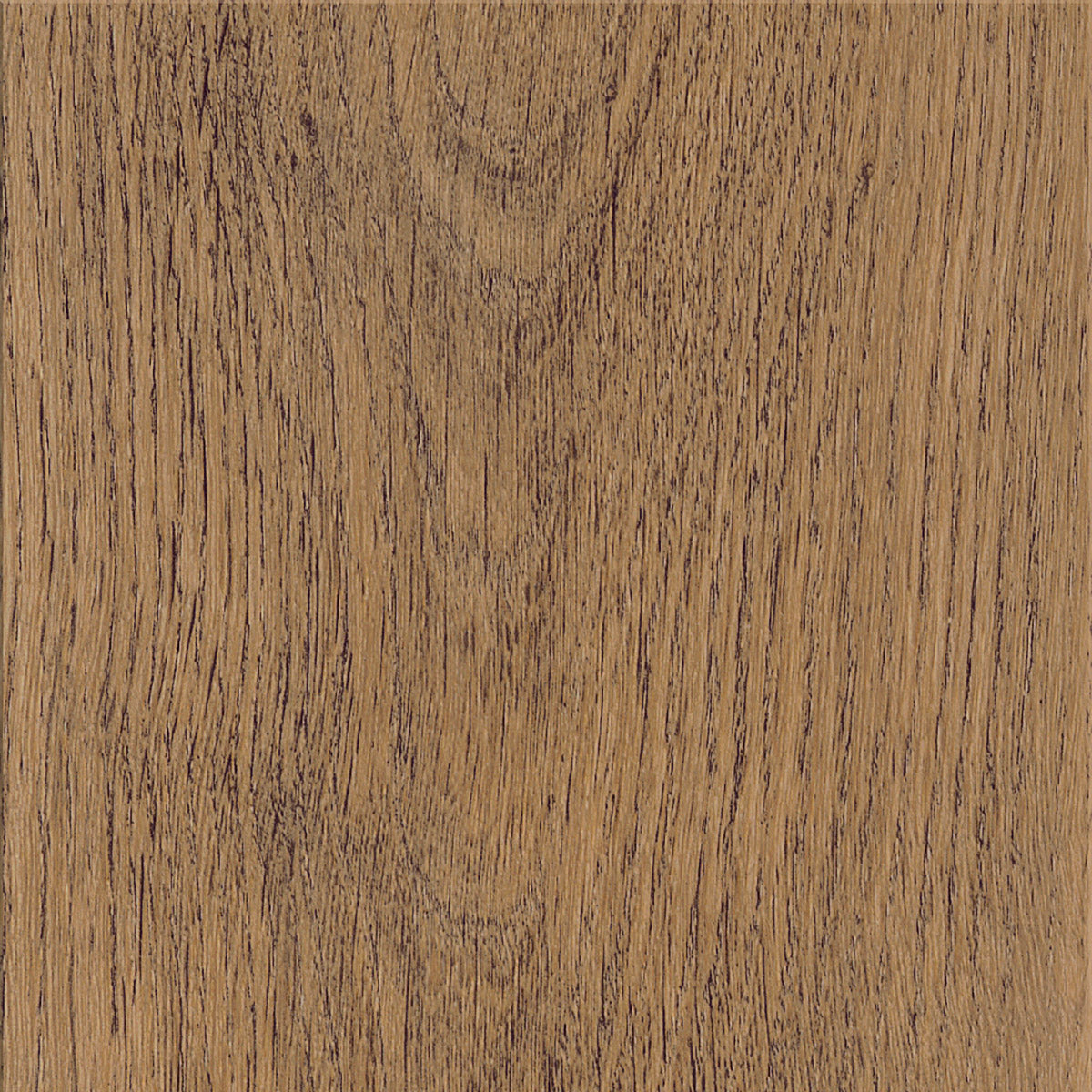 Invictus Maximus Click New England Oak – Toffee – próbka