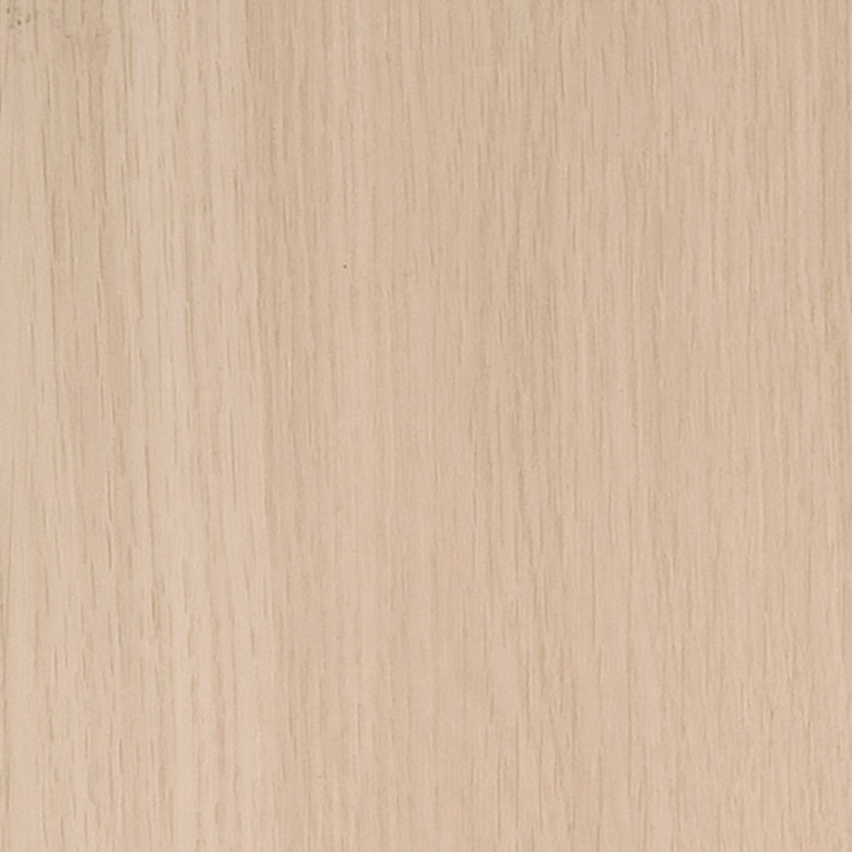 Invictus Maximus Click Premium Oak – Ecru – próbka