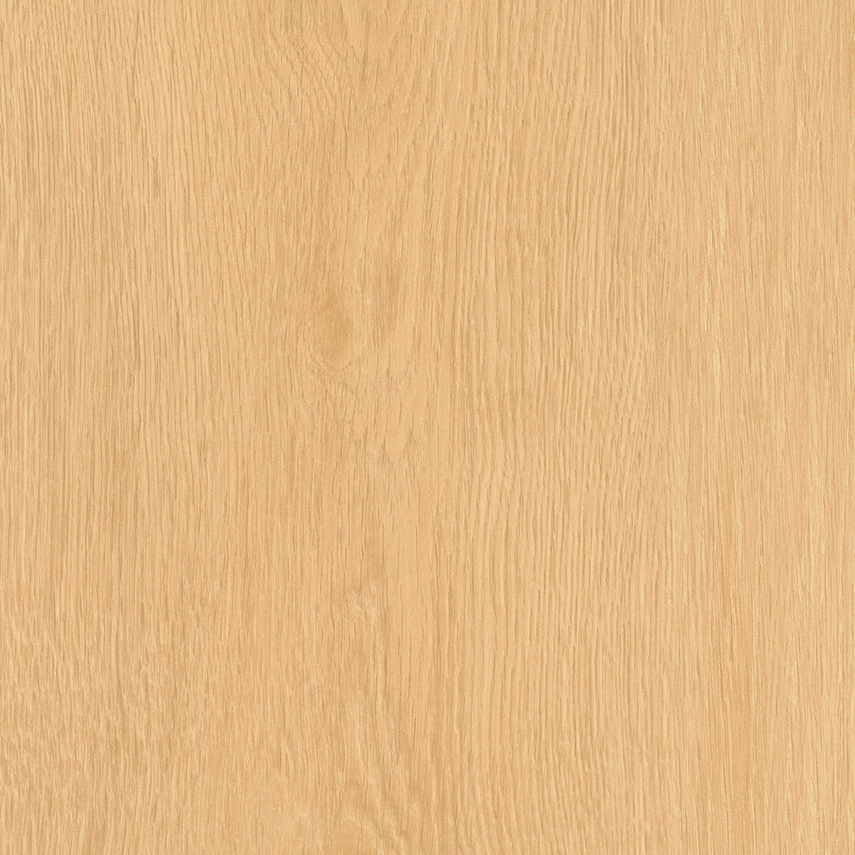 Invictus Maximus Click Regency Oak – Scone – próbka