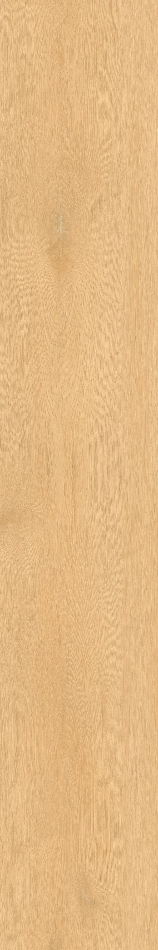 Invictus Maximus Click Regency Oak – Scone – detal
