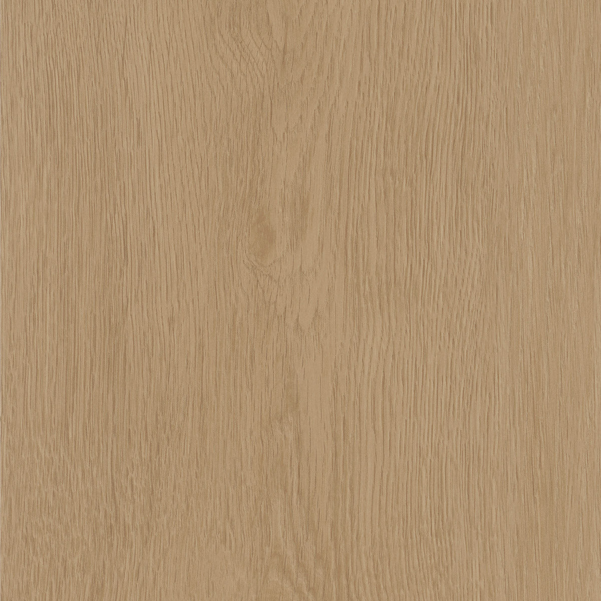 Invictus Maximus Click Regency Oak – Toast – próbka