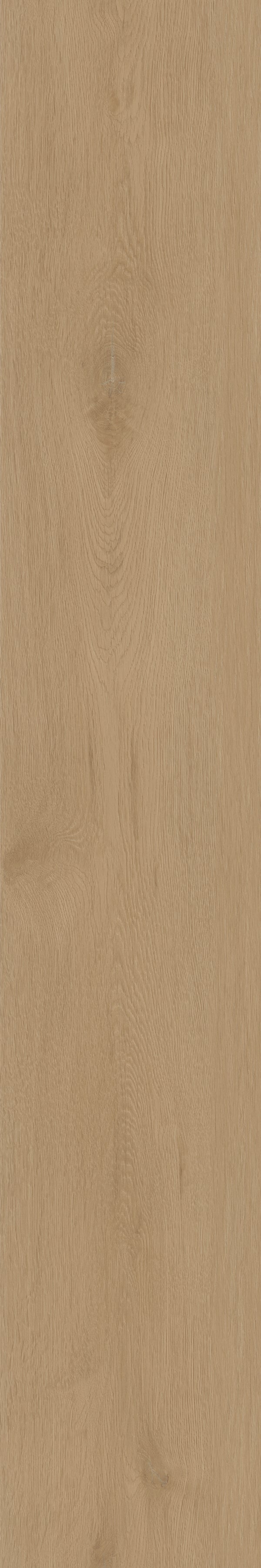 Invictus Maximus Click Regency Oak – Toast – detal
