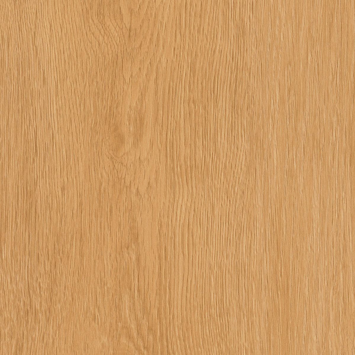 Invictus Maximus Click Regency Oak – Bagel – próbka