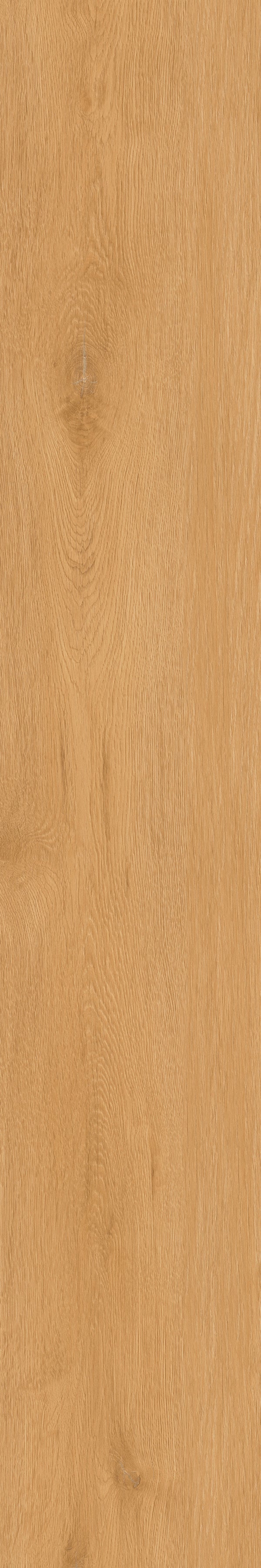 Invictus Maximus Click Regency Oak – Bagel – detal