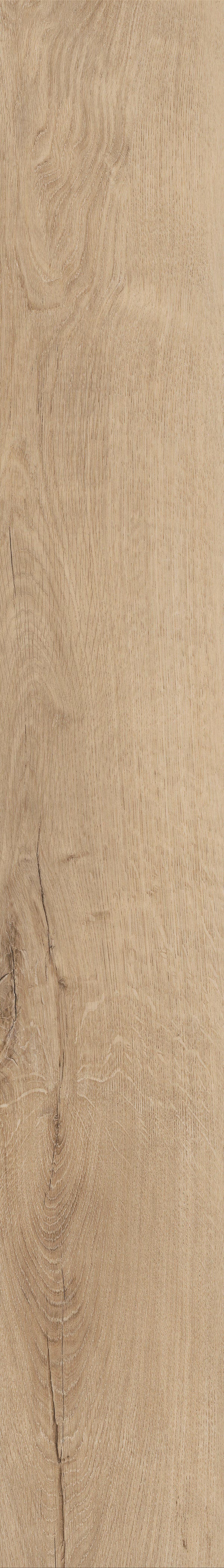 Invictus Primus Click Royal Oak – Blonde – detal
