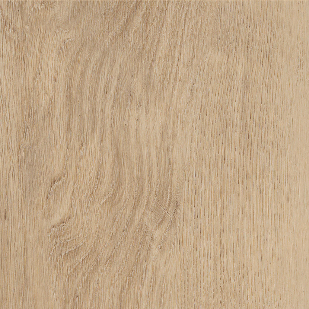 Invictus Primus Click Royal Oak – Blonde – próbka