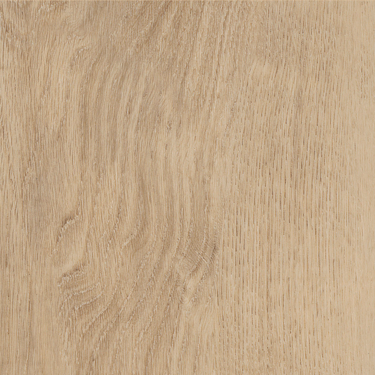 Invictus Primus Click Royal Oak – Blonde – próbka