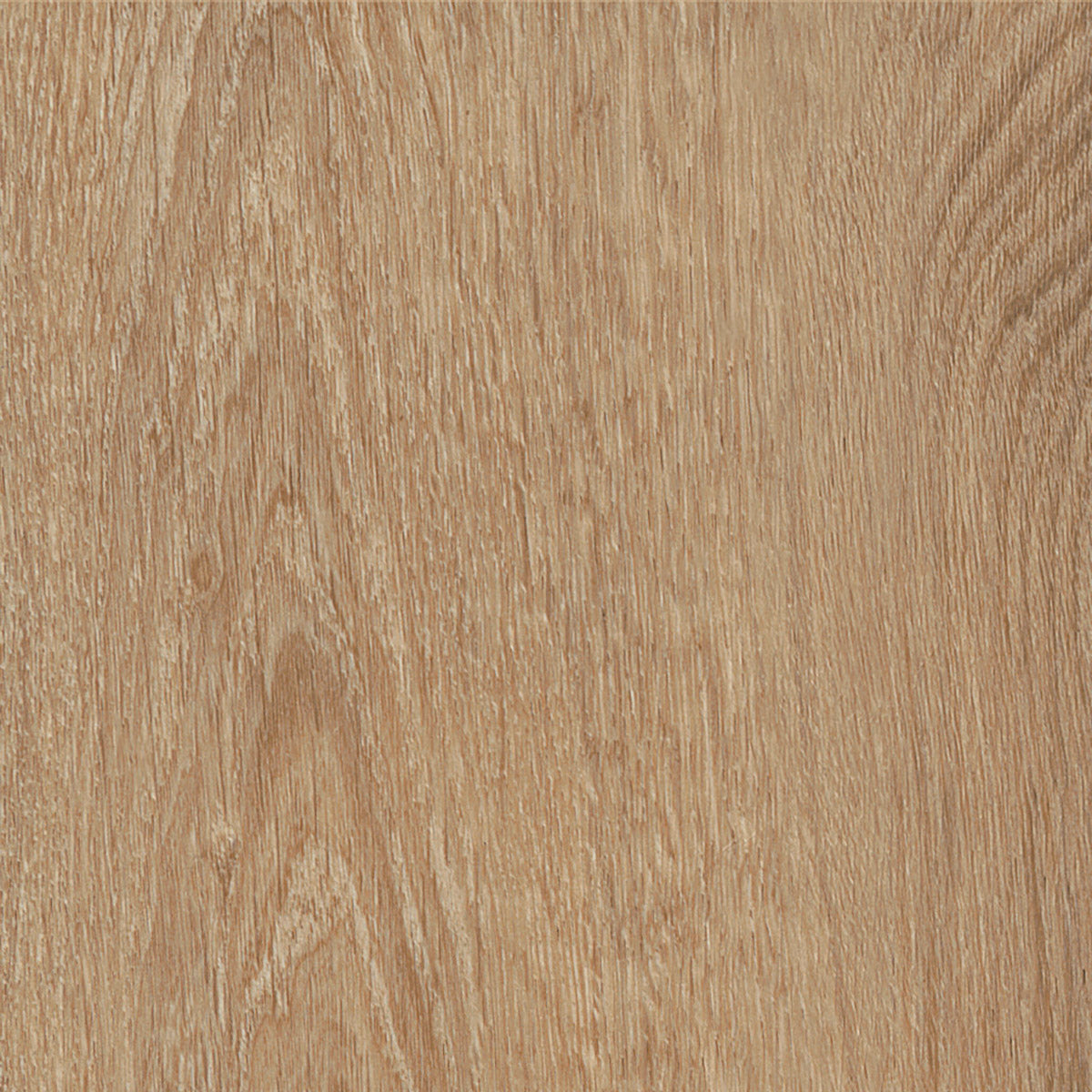 Invictus Primus Click Royal Oak – Traditional – próbka