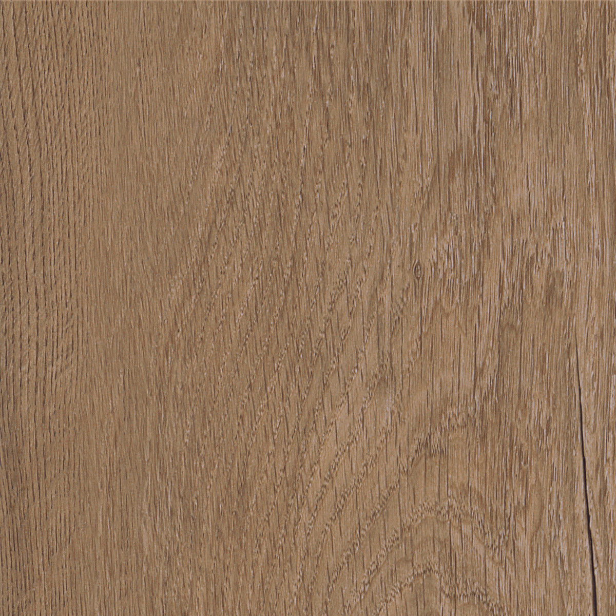 Invictus Primus Click Royal Oak – Mocca – próbka