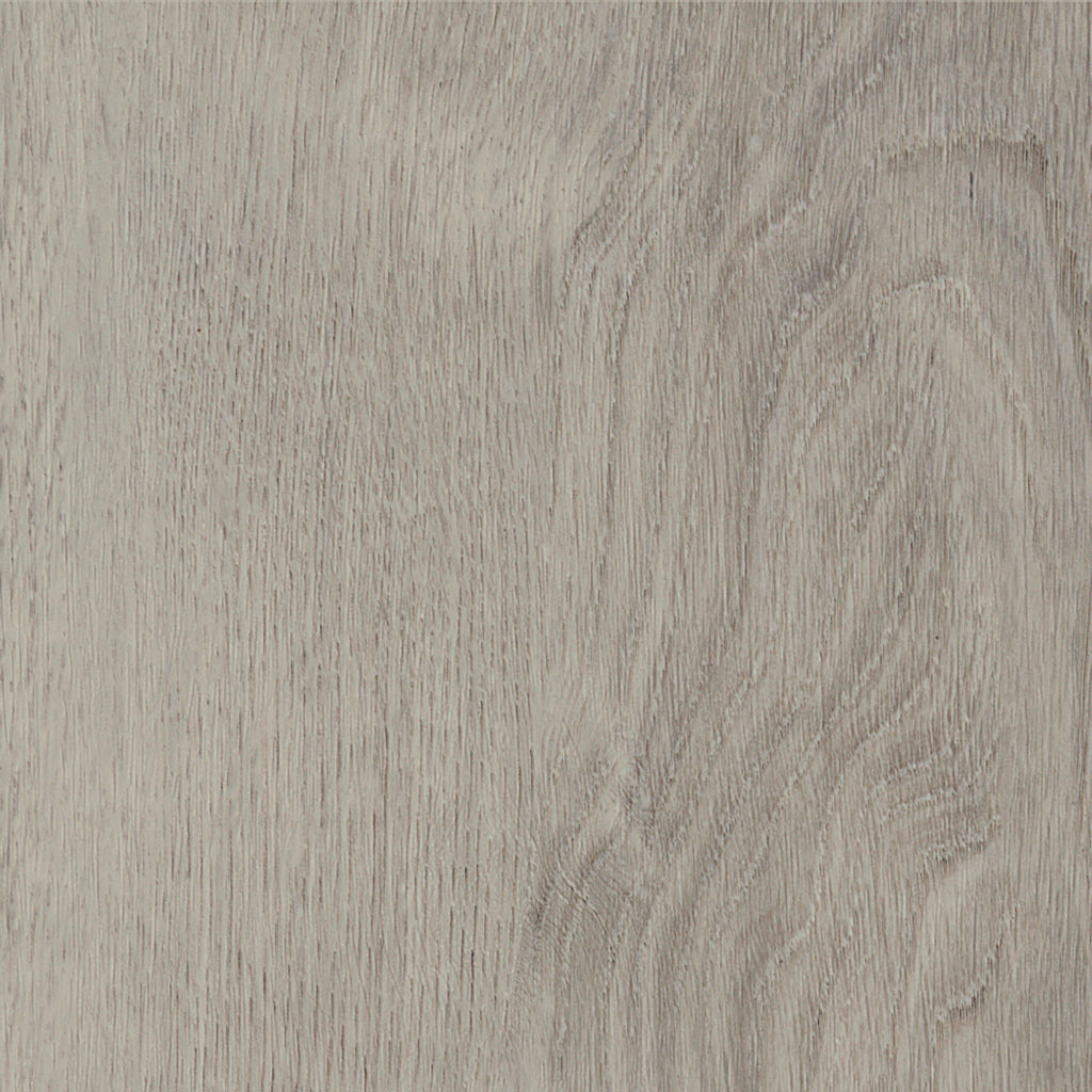 Invictus Primus Click Royal Oak – Dove – próbka