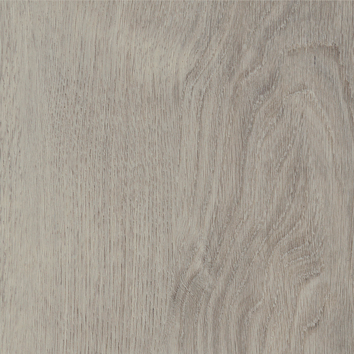 Invictus Primus Click Royal Oak – Dove – próbka