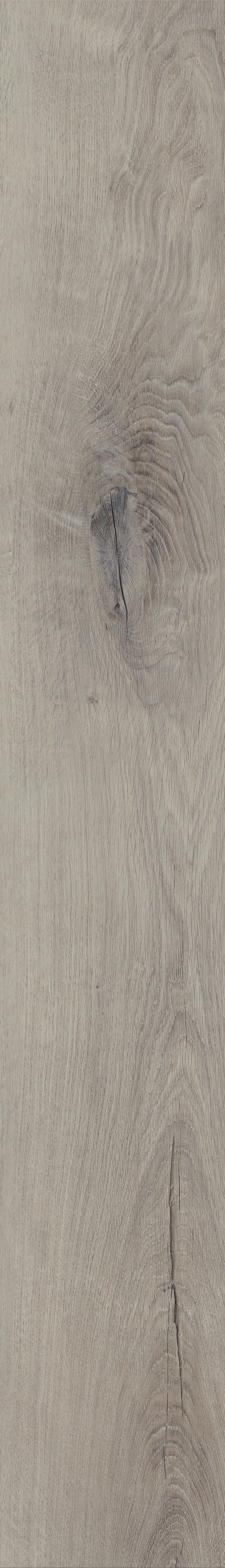 Invictus Primus Click Royal Oak – Dove – detal