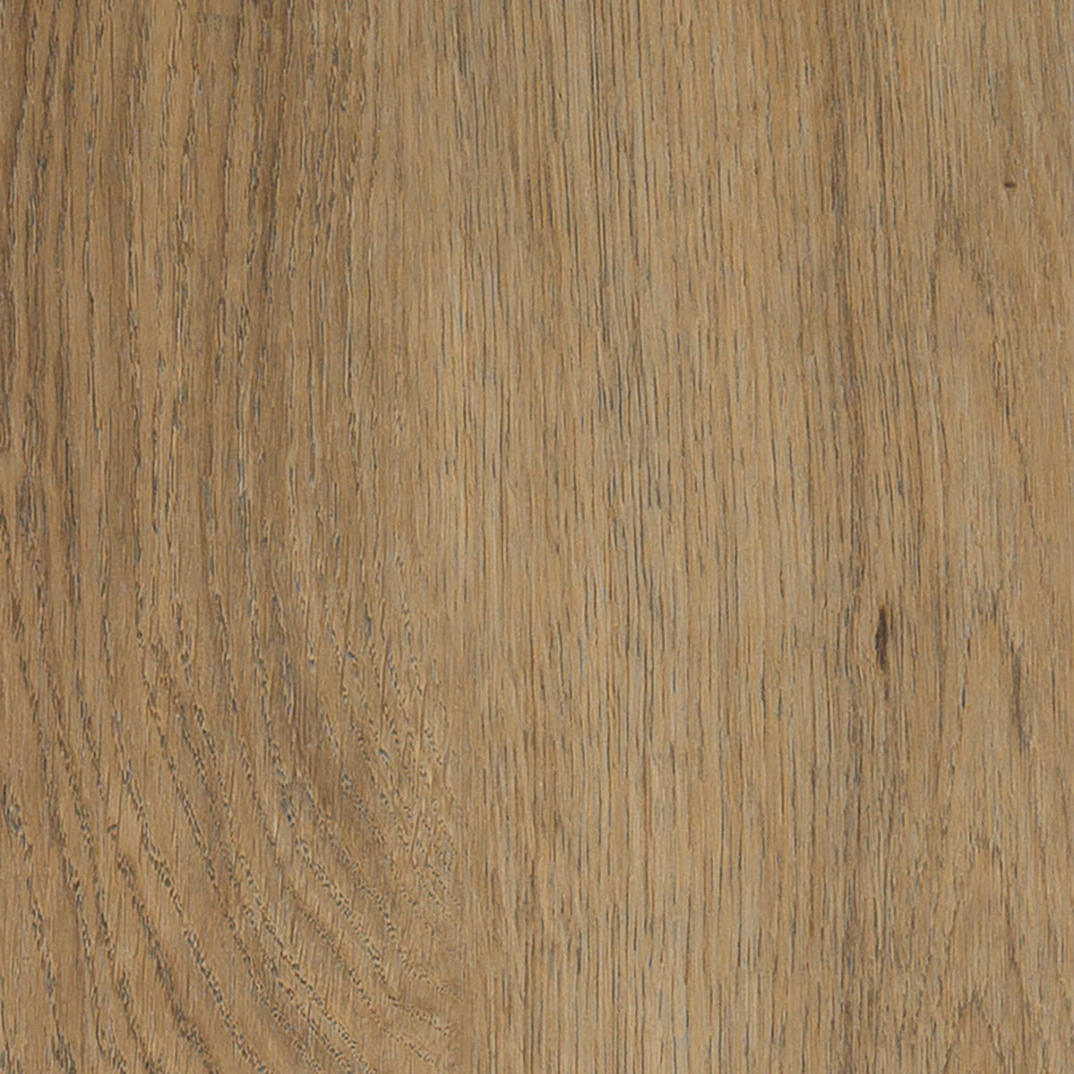 Invictus Maximus Click Sienna Oak – Authentique – próbka