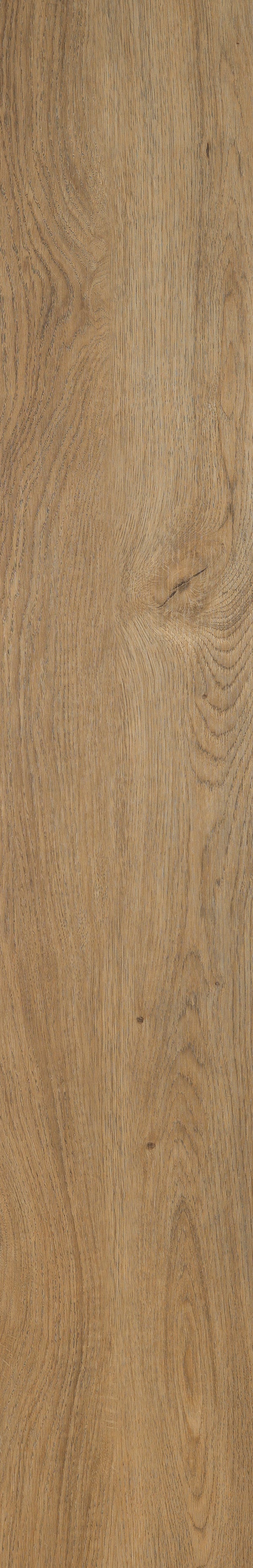 Invictus Maximus Click Sienna Oak – Authentique – detal