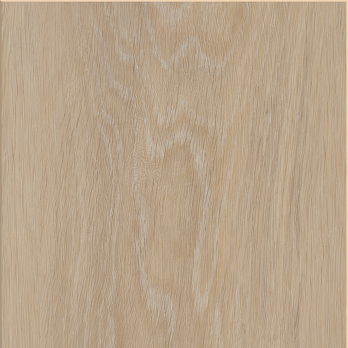 Invictus Maximus Click Silk Oak – Latte – próbka