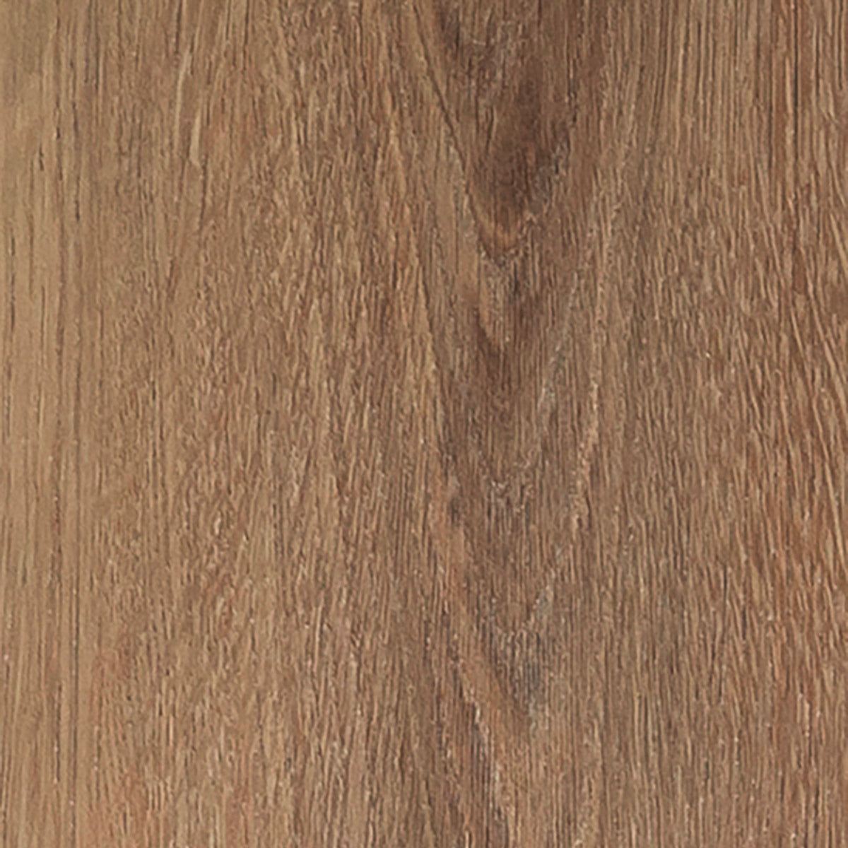 Invictus Maximus Click Velvet Oak – Grace – próbka