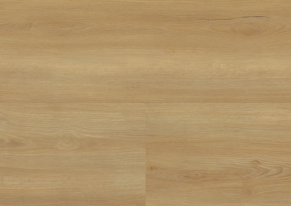 Bradford Oak Honey – wineo 800 wood XL – wineo