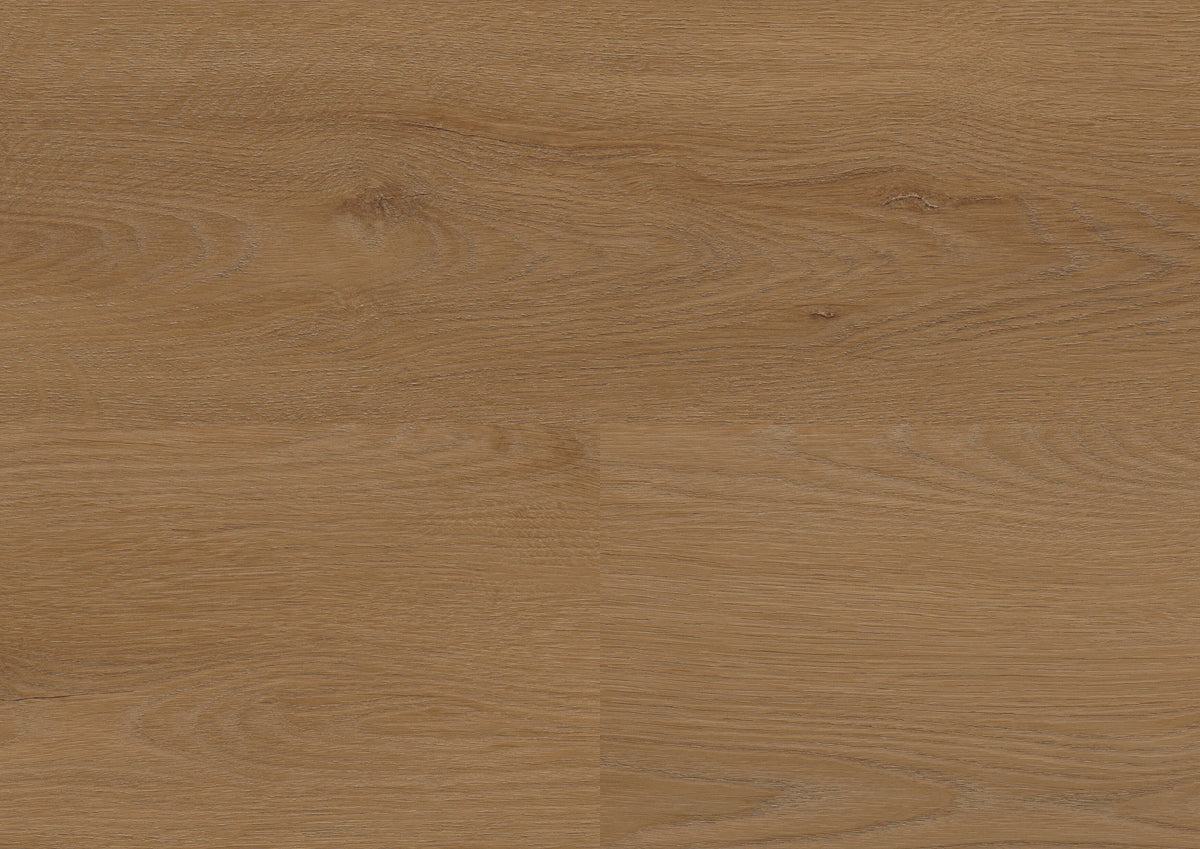 Dublin Oak Brown – wineo 800 wood XL – wineo