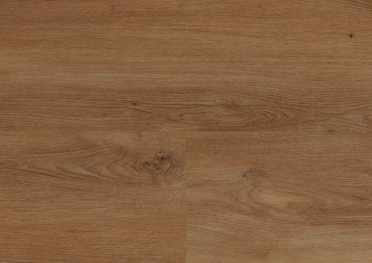 Stavanger Oak Brown – wineo 800 wood XL – wineo