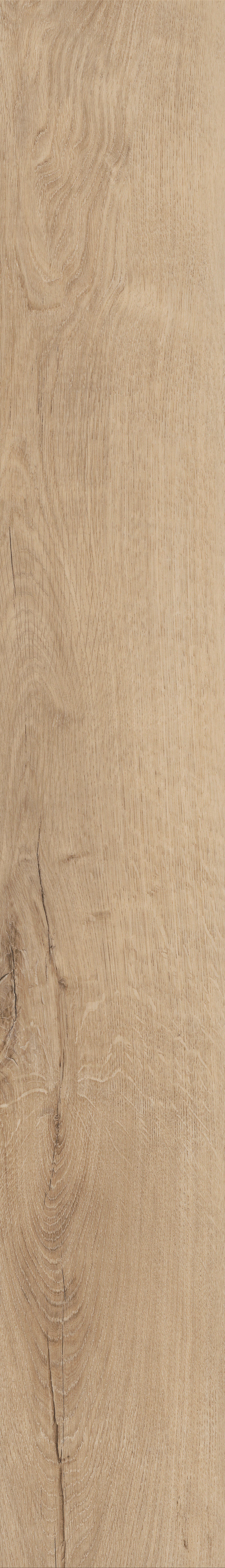 Invictus Primus Dryback Royal Oak – Blonde – detal