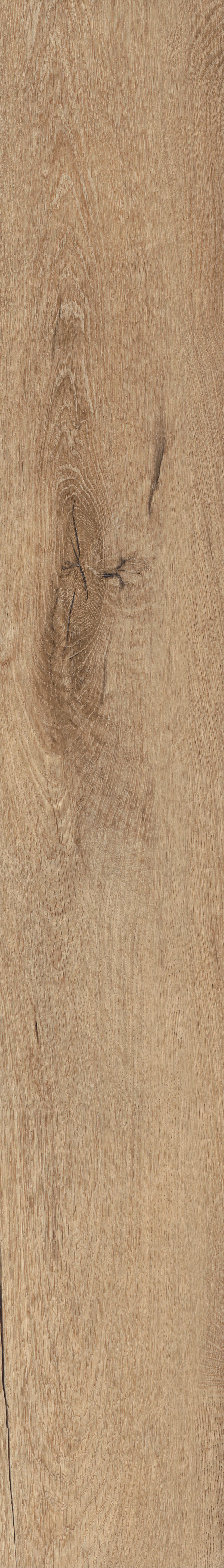 Invictus Primus Dryback Royal Oak – Traditional – detal