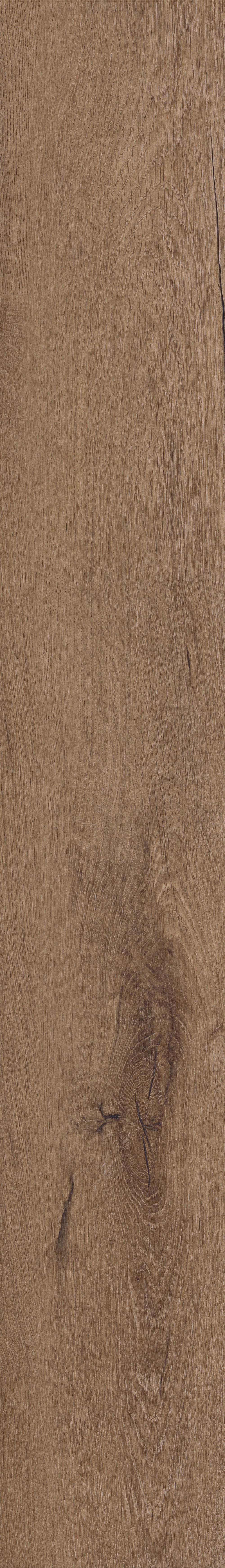 Invictus Primus Dryback Royal Oak – Mocca – detal