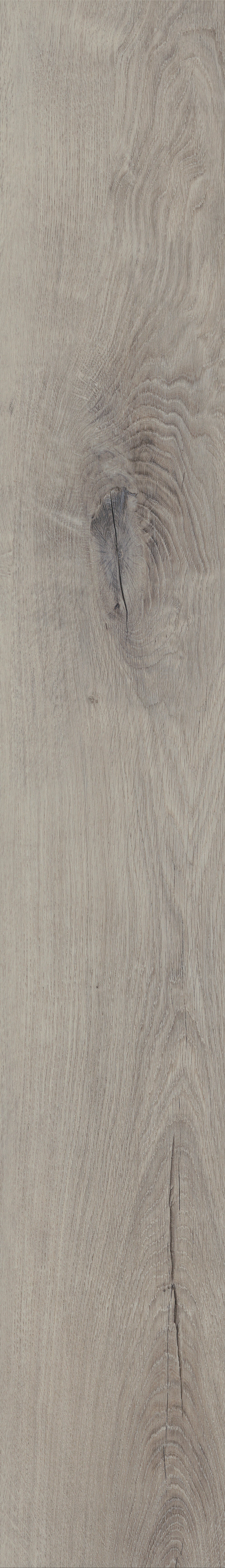 Invictus Primus Dryback Royal Oak – Dove – detal