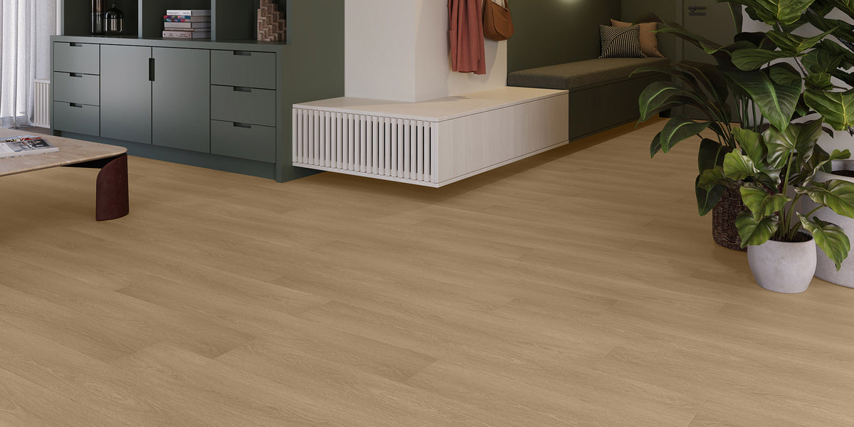 Invictus Maximus Dryback Velvet Oak – Celeste – aranżacja