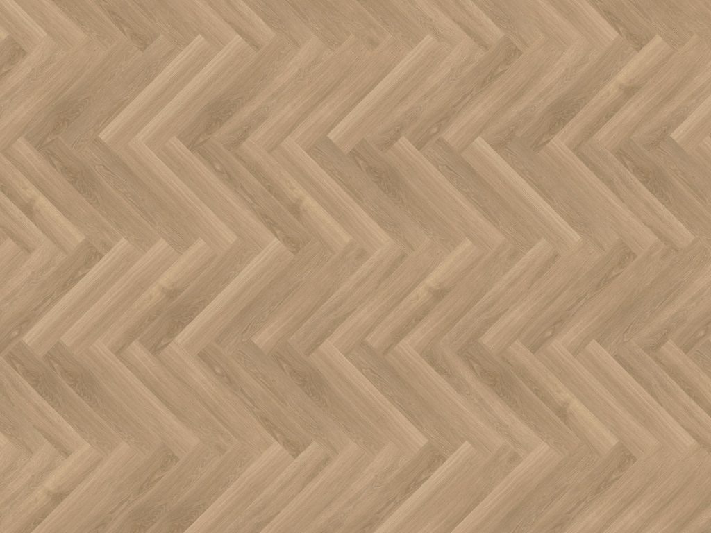 SIENA 03